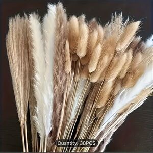 BNIB Boho Natural Dried Pampas Grass
